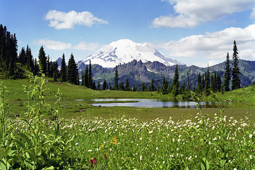 The landscape near Mount Rainier, WA