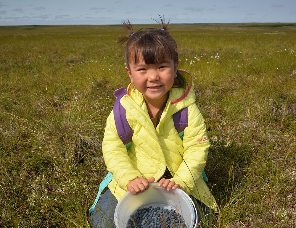 Girl picking berries in Alaska