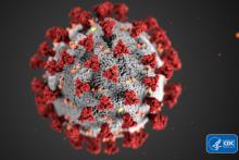 Image of coronavirus depicting the characteristic spikes on the outer surface of the virus.