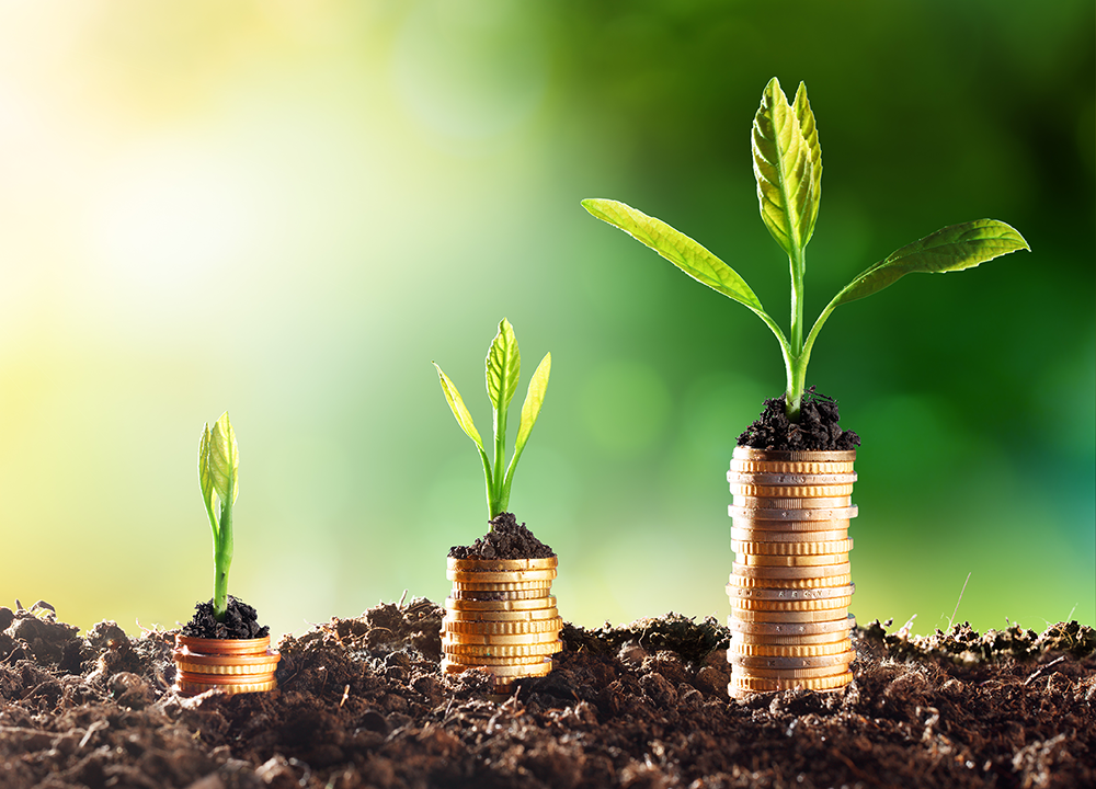 Graphic of stacks of pennies growing like seedlings from soil.