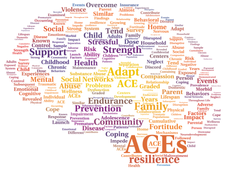 Word cloud including many related terms, including ACES, Resilience, and Support, among others.