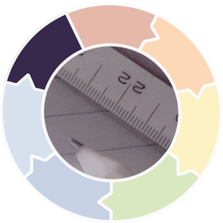 Graphic showing a circle divided into seven segments, indicating a cyclical process.