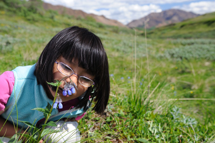 Photograph of a child smelling a wildflower.